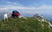 50 Fotografando stelle alpine con vista in anticima est di Corna Piana